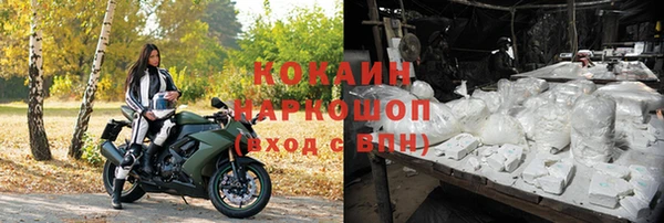 ПСИЛОЦИБИНОВЫЕ ГРИБЫ Алексин