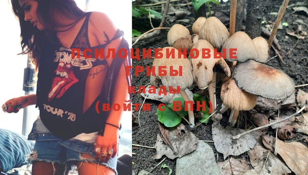 мяу мяу мука Алзамай