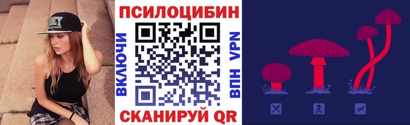 наркота Ермолино Псилоцибиновые грибы Psilocybe